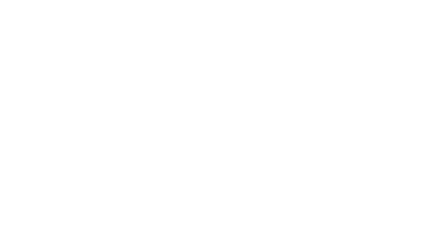 Investors Ladder